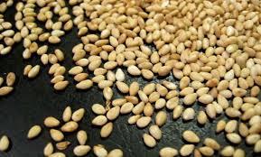 Lo que simboliza soñar con sésamo.