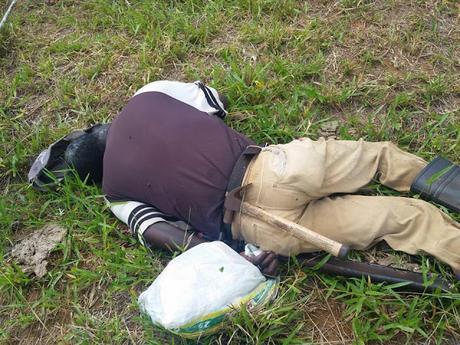 Hombre muere de infarto en su parcela, en San Juan de la Maguana.