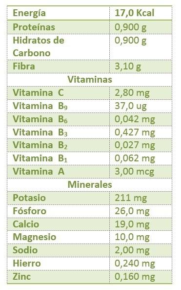 ¿Que son y para que sirven las endivias?