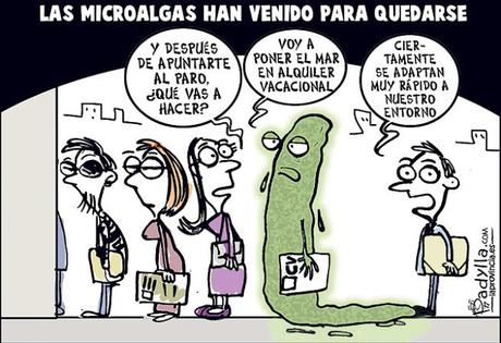 [Humor en cápsulas] Para hoy miércoles, 30 de agosto de 2017