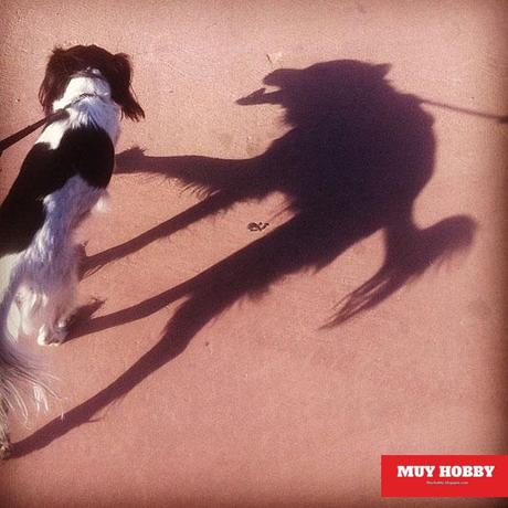 Fotos graciosas de sombras tomadas en el momento exacto