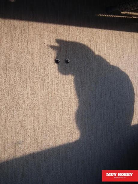 Fotos graciosas de sombras tomadas en el momento exacto