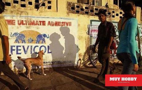 Fotos graciosas de sombras tomadas en el momento exacto