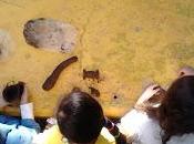 Asomándonos trabajo