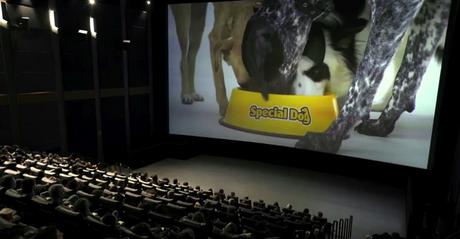 Varios perros invaden el cine en este adorable anuncio de comida para mascotas