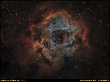 NEBULOSA ROSETA (NGC 2237)
