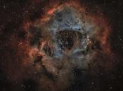 Nebulosa roseta (ngc 2237)