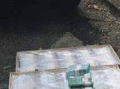 ¡200 millones! dineral hallado camioneta Lilian Tintori