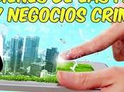 Bienes farc negocios criminales