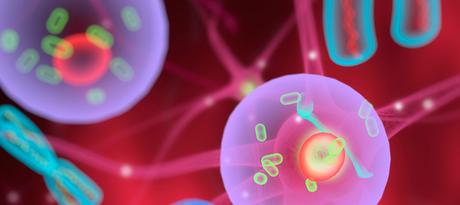 Aprueban el uso de la Terapia Celular Personalizada