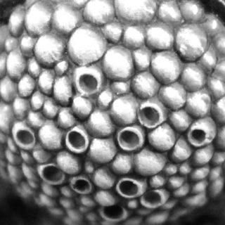 Ayer y hoy en Warhammer Community