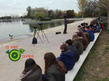 Tres mil escolares ven cien especies de aves en 130 parques de Madrid