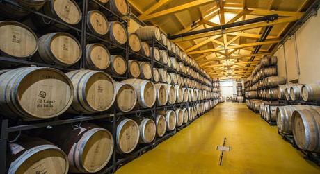 5 Escapadas con niños cerca de Madrid. 5 Escapadas con niños cerca de Madrid.