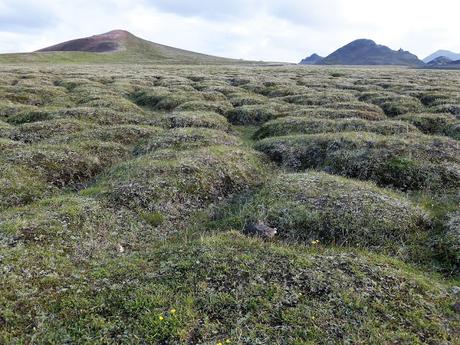 Islandia: Tierras altas, Lago Myvtan, Krafla, Askja, Asbyrgi