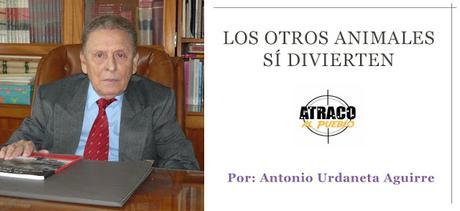 LOS OTROS ANIMALES SÍ DIVIERTEN