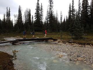 SENDERSIMO EN YOHO: ICELINE