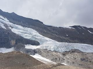 SENDERSIMO EN YOHO: ICELINE