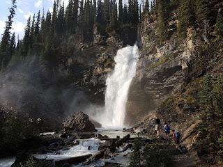 SENDERSIMO EN YOHO: ICELINE