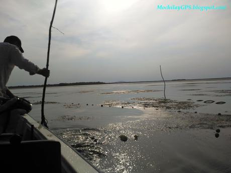 Castillo de Peles, Bucarest, delta del Danubio y Constanza (Viaje por Rumanía en Autocaravana V)