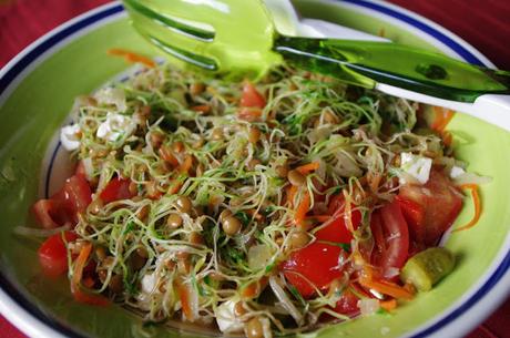 ENSALADA DE GERMINADOS DE LENTEJAS