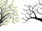 Desigualdad Inevitable