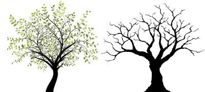 La Desigualdad es Inevitable