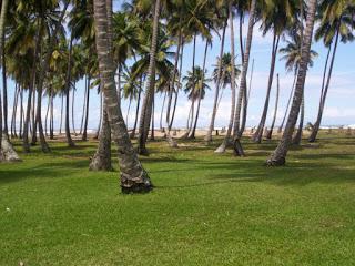 Adompretur  apoyará  Primer Festival Nacional del Coco