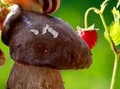 ¿Qué movimiento slow?