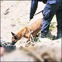 Maldonado. “Persona desaparecida” deviene héroe nacional por show retro de “progresistas”.