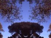 Venerdí Photosatriani