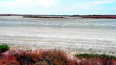 El agua de las Lagunas de Villafranca desciende hasta niveles mínimos