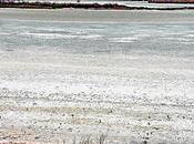 agua Lagunas Villafranca desciende hasta niveles mínimos