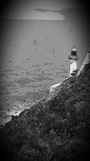 FARO DE LEÑA (final)