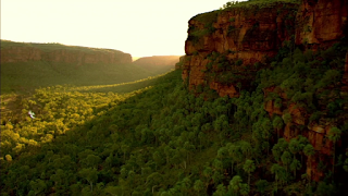 El territorio de la bestia (Rogue, Greg McLean, 2007. AUSTRA / EEUU  & GB)