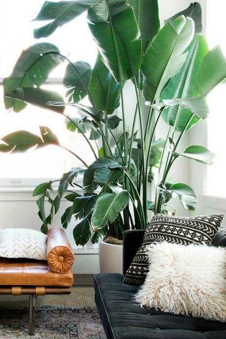 INSPIRATIONAL MONDAY #39 INSPIRATIONAL MONDAY #39