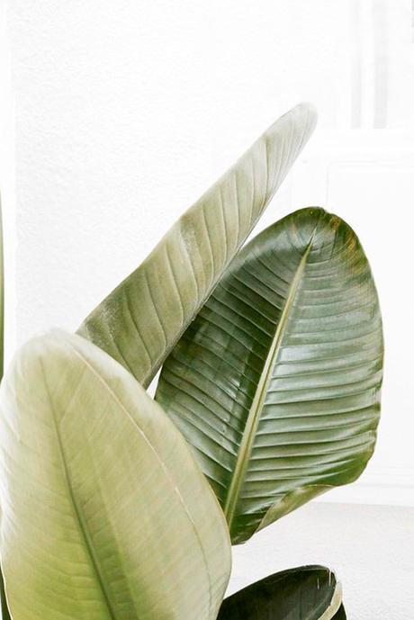 INSPIRATIONAL MONDAY #39 INSPIRATIONAL MONDAY #39