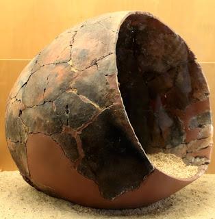 Algunas cerámicas del Museo arqueológico de Zamora.