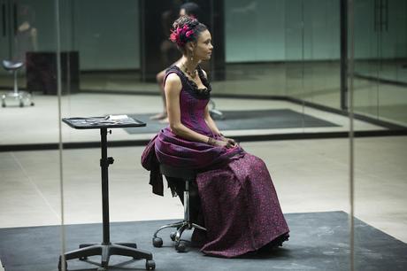 WESTWORLD: MIRADAS (6)