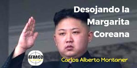 DESOJANDO LA MARGARITA COREANA