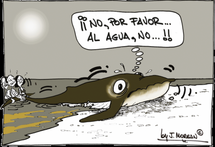 [Humor en cápsulas] Para hoy lunes, 4 de septiembre de 2017