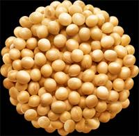 La soja puede hacerte infértil y causarte cánceres de mamas y de tiroides