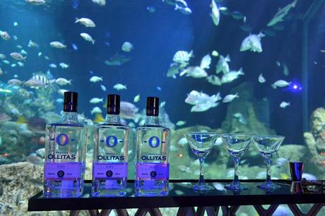 Mixología submarina