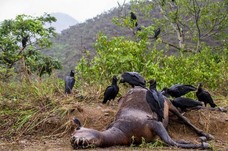 Zaruma, olor a café, minería y casas de colores