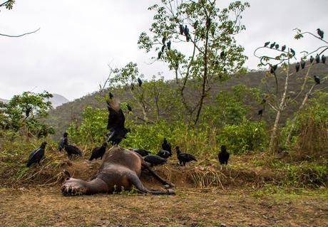 Zaruma, olor a café, minería y casas de colores