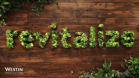 Las tipografías comestibles de Anna Keville Joyce