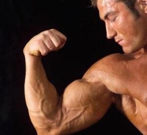 Lo Que Debes Saber del Óxido Nítrico