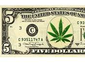 marihuana mejor inversión historia para pequeños inversores!