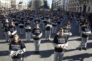 ARTÍCULO: Activismo en defensa de los seres sintientes