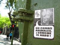 ARTÍCULO: Activismo en defensa de los seres sintientes