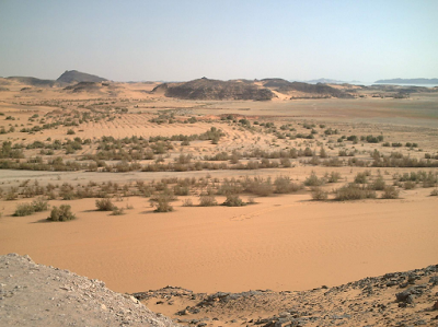 Las maravillas de Nubia salvadas de la inundación Las maravillas de Nubia salvadas de la inundación
